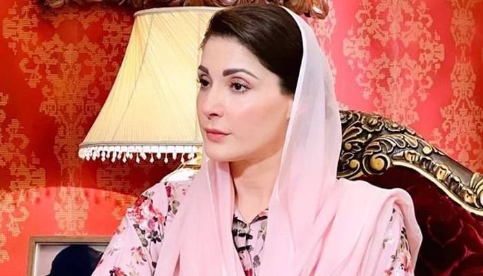 سارامعاملہ پنجاب یونیورسٹی کاہے، گورنر اپنا وی سی لگوانا چاہتے ہیں، مریم نواز