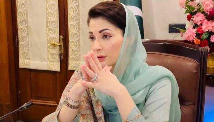 پی ٹی آئی احتجاج پر مریم نوازکا سخت ردعمل