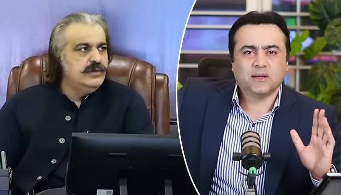 علی امین گنڈا پور کو اسٹیبلشمنٹ کی حمایت حاصل ہے: منصور علی خان کا دعویٰ