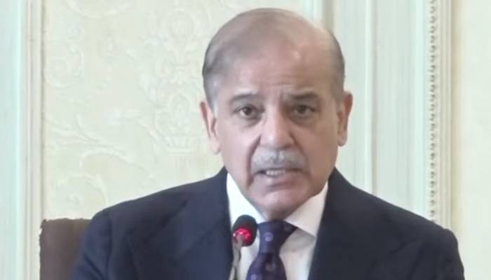 افغانستان کو کالعدم ٹی ٹی پی کیخلاف کارروائی کرنا ہوگی: وزیراعظم