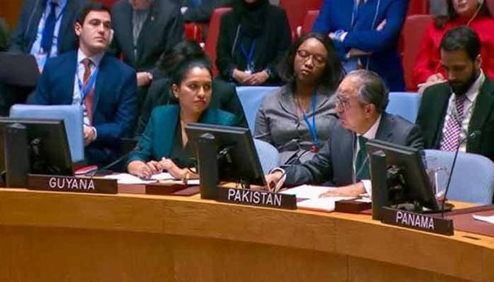 سلامتی کونسل:پاکستان کاغزہ میں انسانی بحران روکنے کیلئےفیصلہ کن اقدامات کا مطالبہ