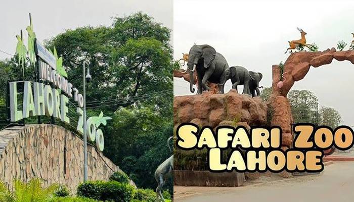 لاہور زو سفاری اور چڑیا گھر آنے والے شہریوں کیلئے اچھی خبر