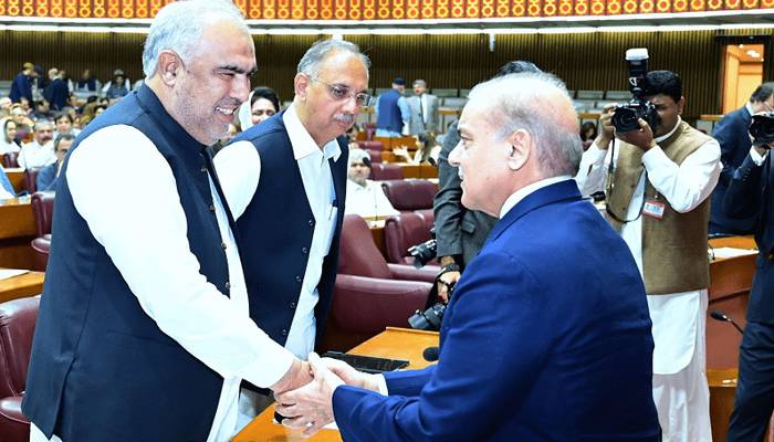 اسد قیصر کا متنازعہ بیان، حکومت سے مذاکرات میں ڈیڈلاک کا اندیشہ