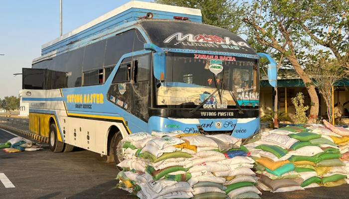 ملکی معیشت کی بحالی کے لیے حکومت پاکستان کے بڑے اقدامات ، اینٹی اسمگلنگ کریک ڈاؤن