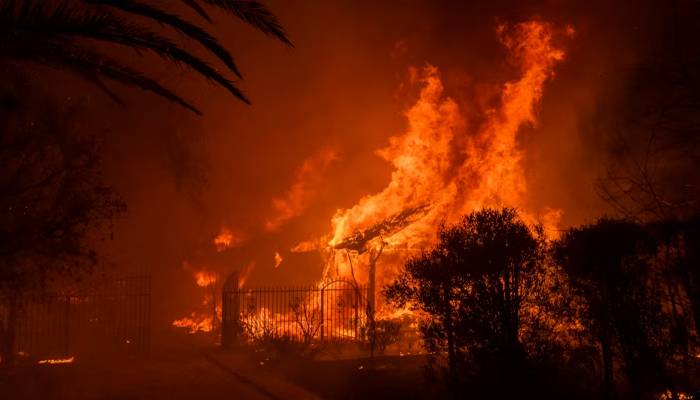 la FIRE reasons surfaced