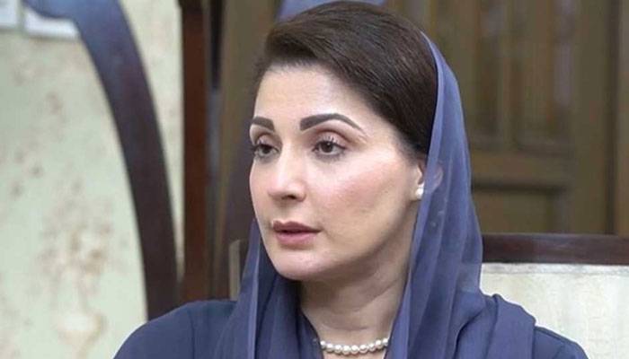مریم نواز سے جاپانی سفیر کی ملاقات، سرمایہ کاری کے فروغ پر زور