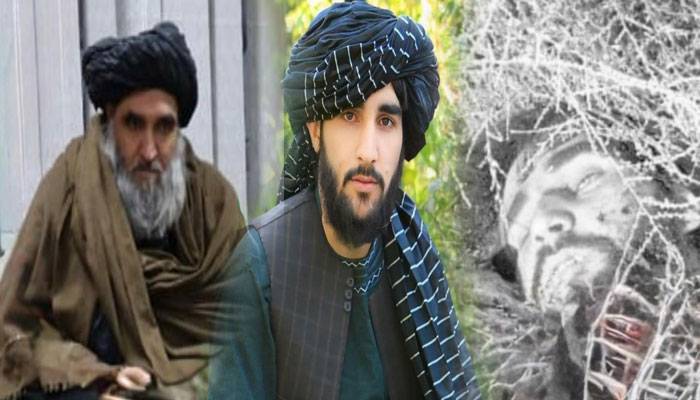 افغان نائب گورنر کا بیٹا پاکستان کیخلاف دہشتگردی میں ملوث،ٹی ٹی پی کے دہشتگردوں کیساتھ ماراگیا
