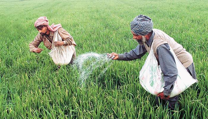 گرین پاکستان انیشیٹو پروگرام کے ثمرات آنا شروع