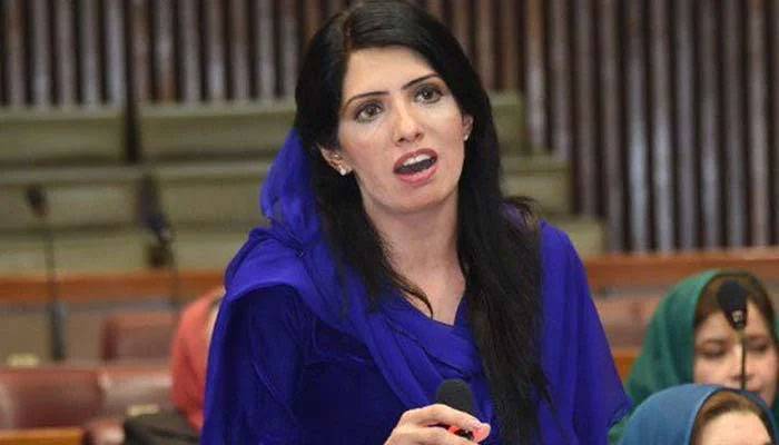 اشتہارات سے آپکی کارکردگی عوام کے سامنے نہیں آسکتی، عالیہ حمزہ 