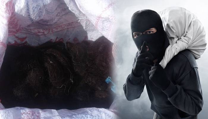 چور ایک کروڑ مالیت کے انسانی بال چرا کر فرار، پولیس کو فوٹیج حاصل