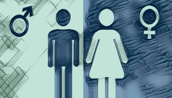 The World Economic Forum Releases Their 2025 Global Gender Gap Report