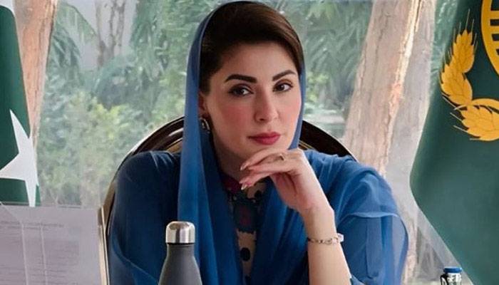 گیم چینجر: وزیراعلیٰ پنجاب نے1لاکھ ہنرمندوں کو ملازمت دینے کا ہدف دیدیا