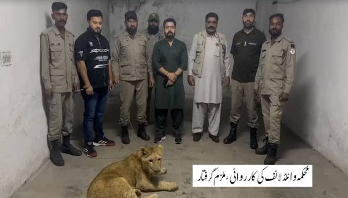 بغیر لائسنس شیر کو گھر میں رکھنے پر ایک اور شخص گرفتار 