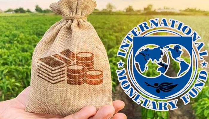 زرعی ٹیکس کی وصولی کے طریقہ کار پرIMFکا اظہار تشویش