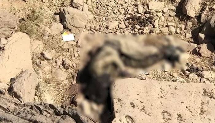 جعفر ایکسپریس میں جہنم واصل کئے جانے والے دہشتگردوں کی تصاویر منظر عام پر