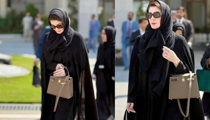 مریم نواز کے ’ہینڈ بیگ‘ کی قیمت کیا؟ جان کر حیران رہ جائینگے