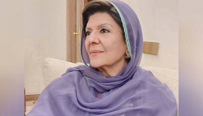 سوشل میڈیا پر منفی پروپیگنڈا:علیمہ خان جے آئی ٹی کےسامنے پیش نہ ہوئیں