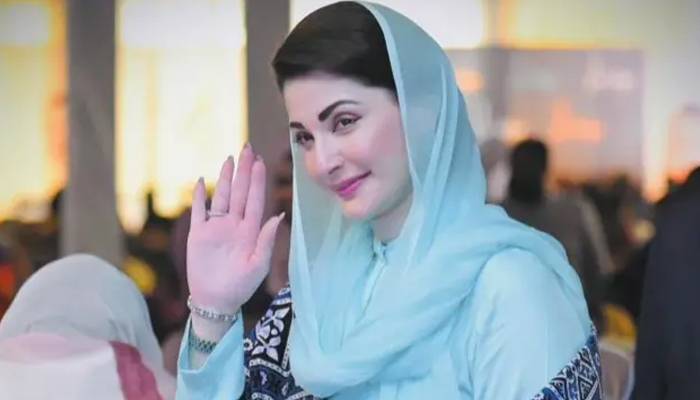 تھیٹر کو بحال کر کے فن و ثقافت کی ترویج کیلئے بہترین ذریعہ بنائیں گے،مریم نواز
