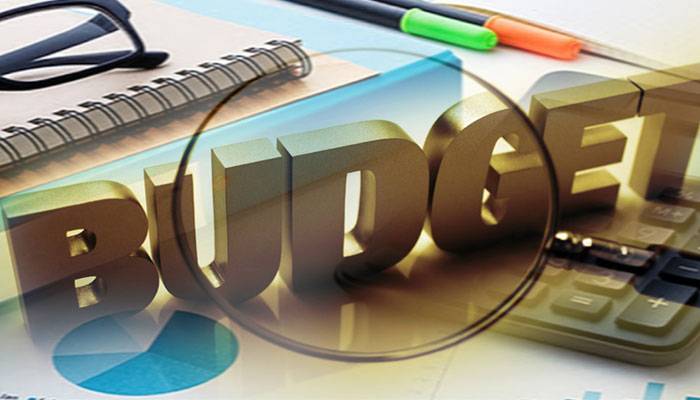 بجٹ 2025-26: ٹیکس محصولات کا ہدف 15 ہزار 270 ارب روپے مقرر