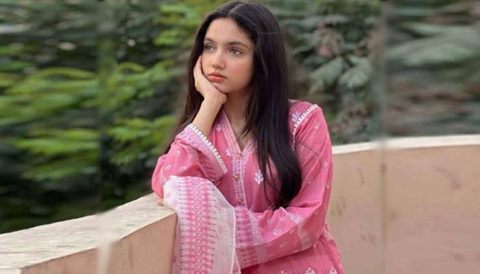  کم عمر اداکارہ عینا آصف کی بھی مبینہ ویڈیو آگئی، سوشل میڈیا پر نئی بحث چھڑ گئی