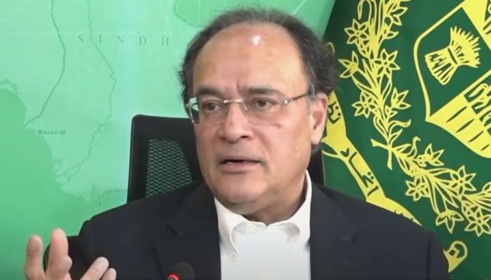  آئی ایم ایف سے معاہدہ، وفاقی وزیر خزانہ نے اچھی خبر سنا دی