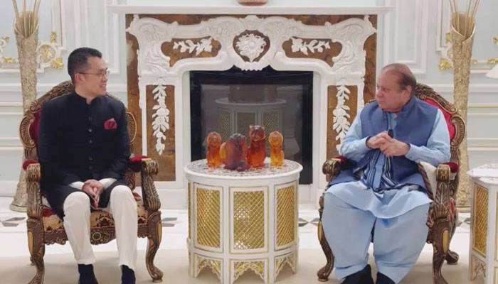 نواز شریف سے  بائنینس کے سابق سی ای او کی ملاقات، ڈیجیٹل اکانومی پر تبادلہ خیال
