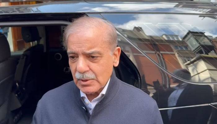 افغانستان فی الفور دہشتگرد تنظیموں کو لگام ڈالے، وزیر اعظم شہبازشریف
