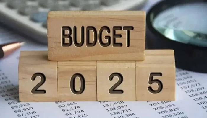 بجٹ 2025-26:مالی سال کیلئے 11.2 فیصد ٹیکس ٹو جی ڈی پی ہدف رکھنے پر اتفاق