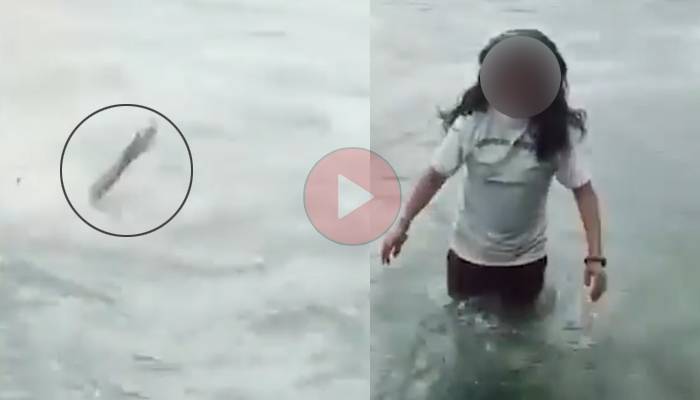 بچی کے سامنے ماں دریا میں ڈوب گئی، افسوسناک واقعہ کی ویڈیو وائرل