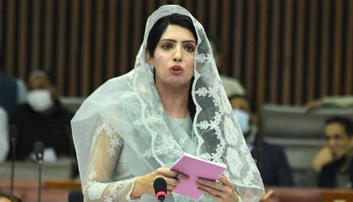 عالیہ حمزہ کو جوڈیشل ریمانڈ پر جیل بھیجنے کا حکم
