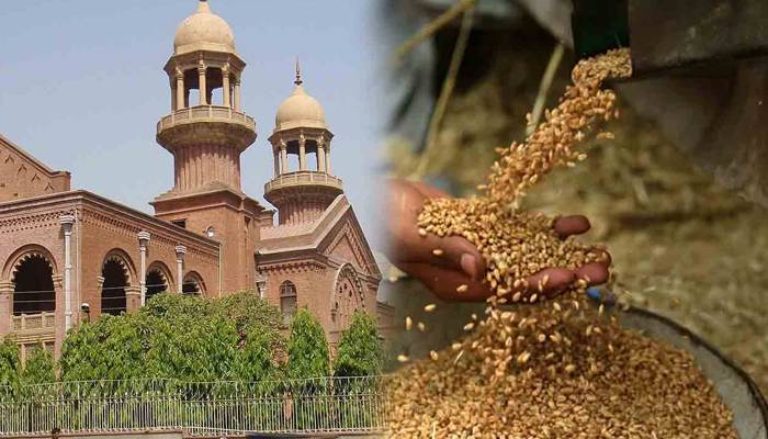 گندم کی فی من قیمت4ہزار مقرر کرنے کیلئے لاہورہائیکورٹ میں درخواست دائر