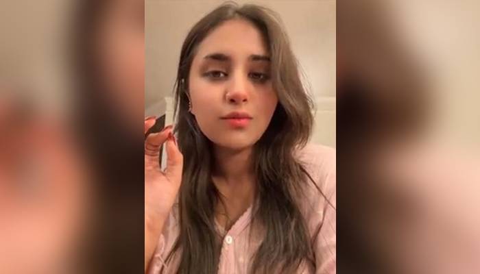 گاناہٹاؤ، ورنہ مقدمہ ہوگا،ٹک ٹاکرمناہل ملک کی دھمکی