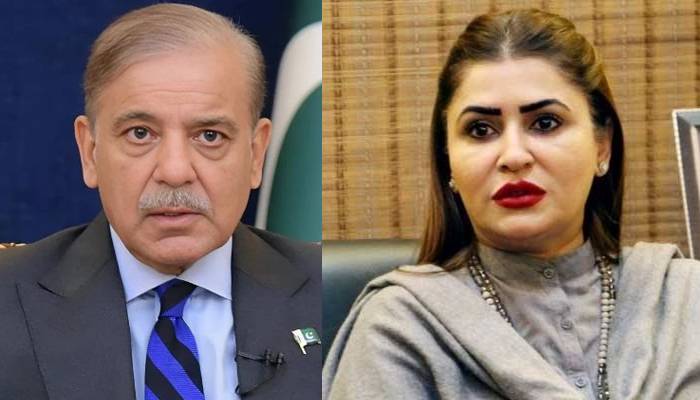 وفاقی حکومت کسی وقت بھی گرسکتی ہے: شازیہ مری 