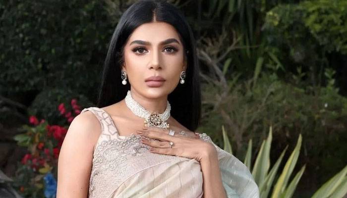 پنجاب حکومت نے اداکارہ  عفت عمر کو اہم ذمہ داریاں دے دیں