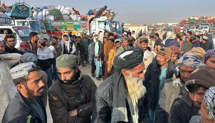 پنجاب میں 11 ہزار سے زائد غیر قانونی طور پر مقیم غیر ملکی ڈی پورٹ