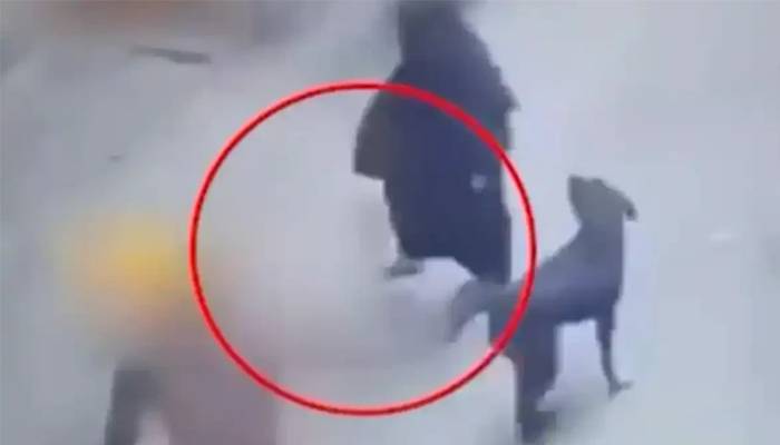 ہندوانتہاپسندی عروج پر،مسلمان خاتون پر کتا چھوڑ دیا