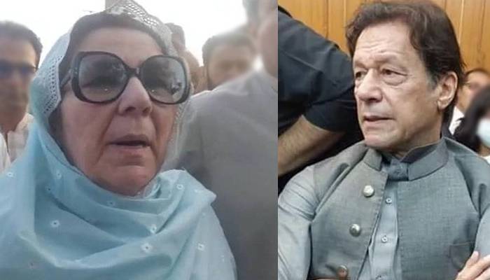 بانی پی ٹی آئی کی حالت کیسی؟ ملاقات کے بعد بہن نورین نیازی نے بتا دیا