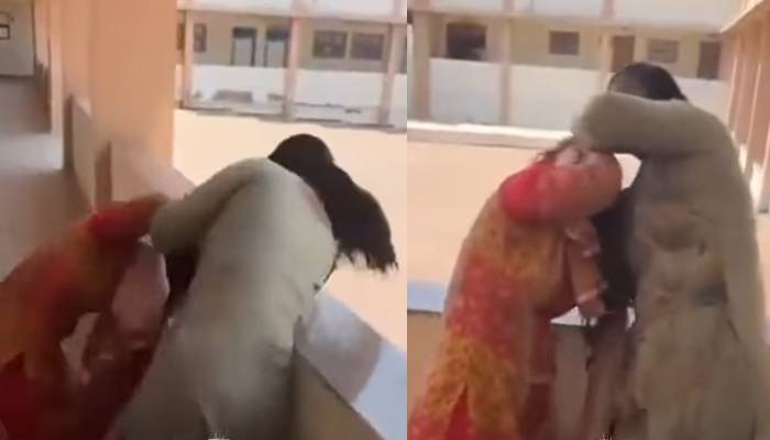 سکول کی پرنسپل اور لائبریرین گتھم گتھا، بال نوچے، تھپڑ مارے، ویڈیو وائرل