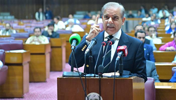 پاکستان نےبھارت کو جواب دےکر تاریک رات کو چاندنی رات بنادیا،شہبازشریف