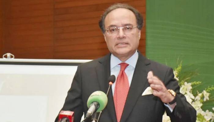 دنیا پاکستان کے معاشی استحکام سے مطمئن ہے: وزیر خزانہ