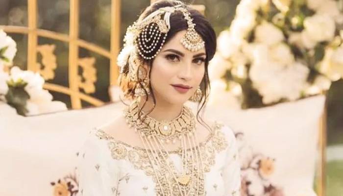 نیلم منیر کابھارتی جارحیت پر دوٹوک مؤقف،بی جے پی کی پالیسیوں پر کڑی تنقید