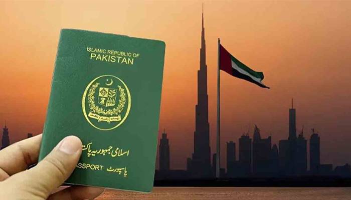 یواےای میں غیر ملکی ملازمین کی ڈگریوں کی تصدیق کے لیے نئی ڈیجیٹل سروس متعارف