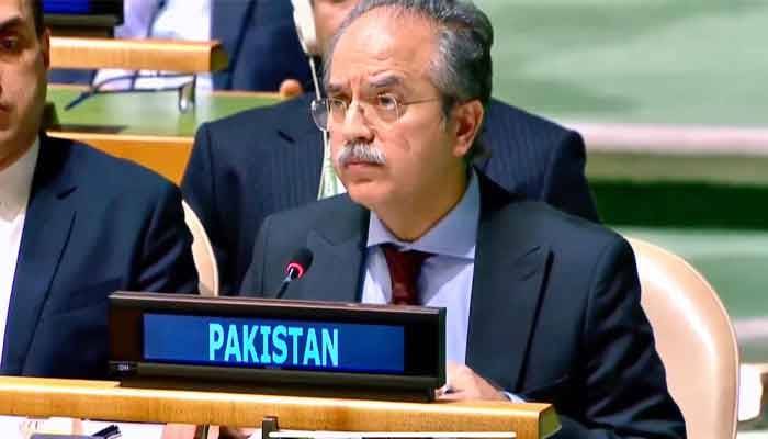 مظلوم فلسطینیوں کی حمایت میں پاکستان کا اقوام متحدہ میں دوٹوک مؤقف