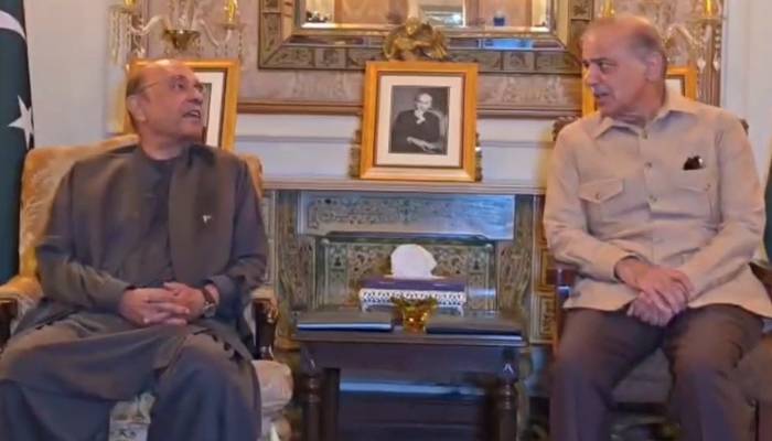 صدر مملکت آصف علی زرداری سے وزیراعظم شہباز شریف کی اہم ملاقات
