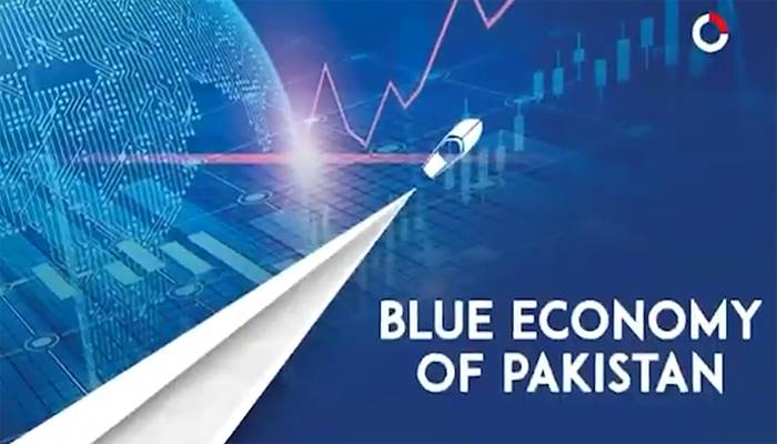 بلیو اکانومی: پائیدار ترقی، روزگار اور معیشت کے استحکام کی کلید