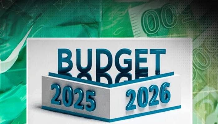 بجٹ 2025-26:صوبوں کےترقیاتی پروگرام کیلئے 2795 ارب مختص کرنے کی تجویز