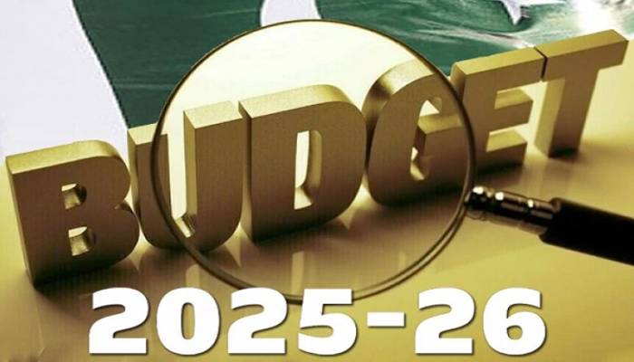 مالی سال 2025-26 کےقومی ترقیاتی بجٹ کا خاکہ پبلک نیوزکو موصول،کس کو کیا ملے گا؟