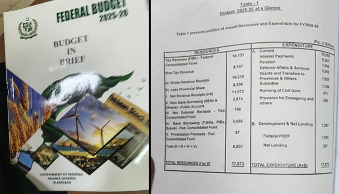 وفاقی بجٹ کا تخلیص میزانیہ پبلک نیوز نے حاصل کر لیا