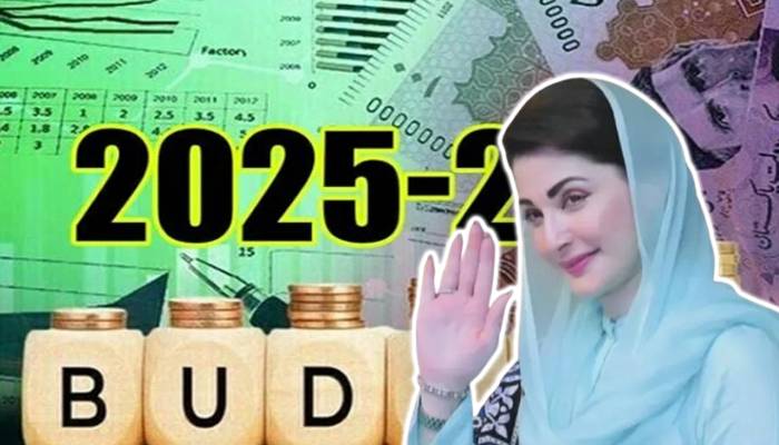  پنجاب کا بجٹ 16 جون کو پیش، وزیر خزانہ نے عوام کو خوشخبری سنا دی