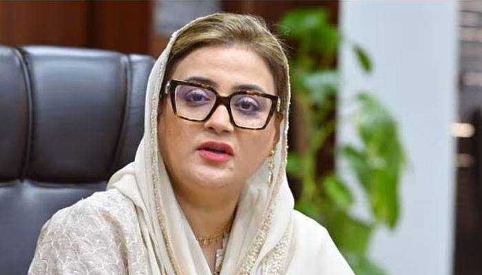 بلال یامین کی پنجاب اسمبلی اجلاس میں گھڑی چوری پرعظمی بخاری کا درعمل